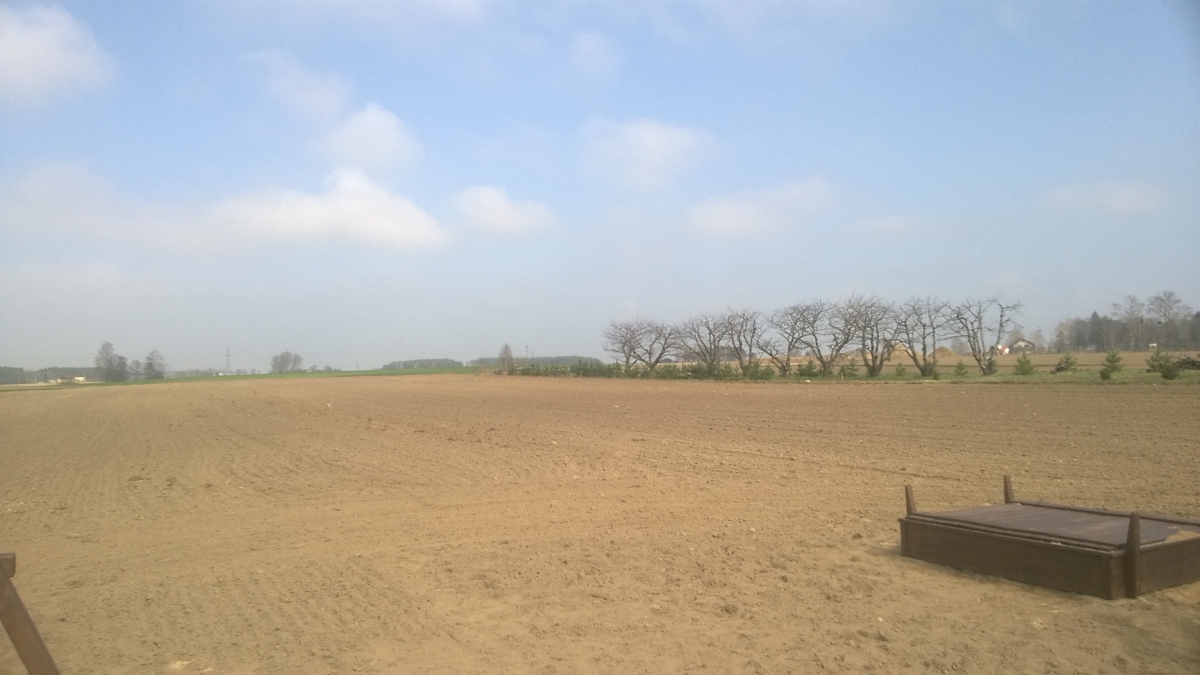 Zdjęcie do wpisu: tam będzie San Francisco :P